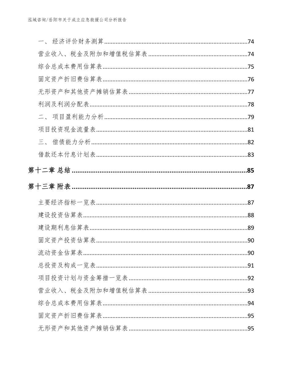 岳阳市关于成立应急救援公司分析报告【模板参考】_第5页