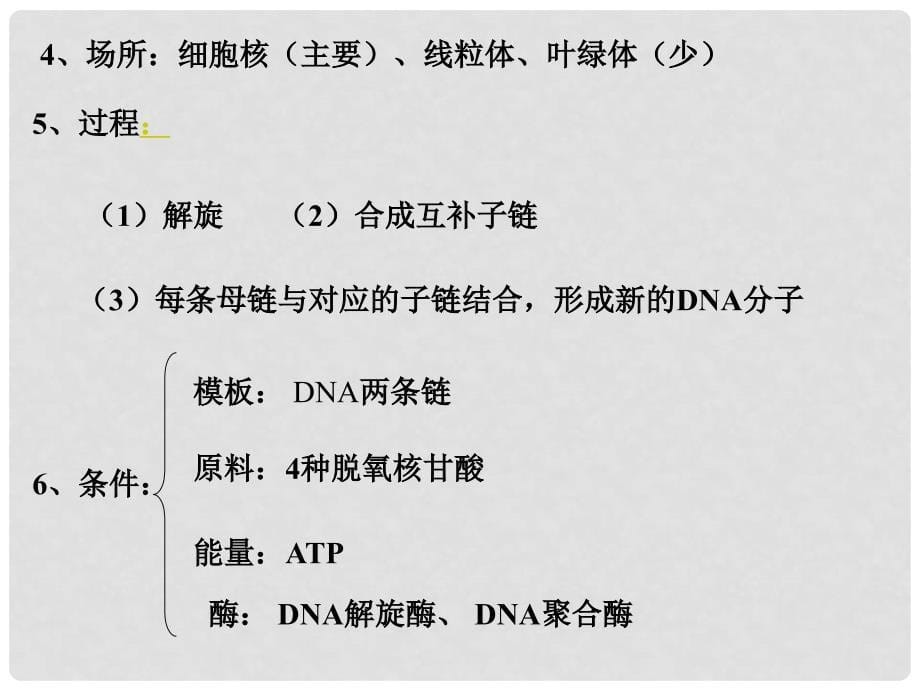 内蒙古自治区赤峰市元宝山区二中高二生物 结构、复制课件_第5页