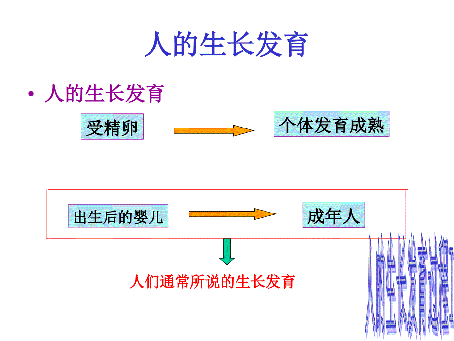 8.2-人的生长发育和青春期-课件(苏教版七年级下)_第2页