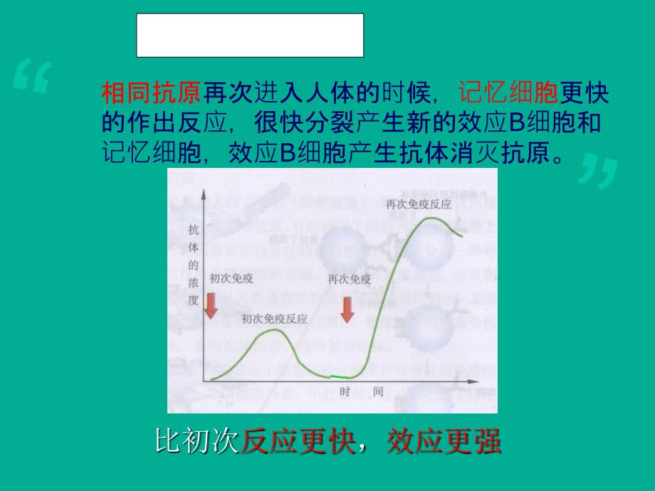 体液免疫与细胞免疫中图版_第3页