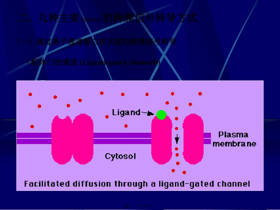 医学专题—细胞的跨膜信号传递功能_第2页