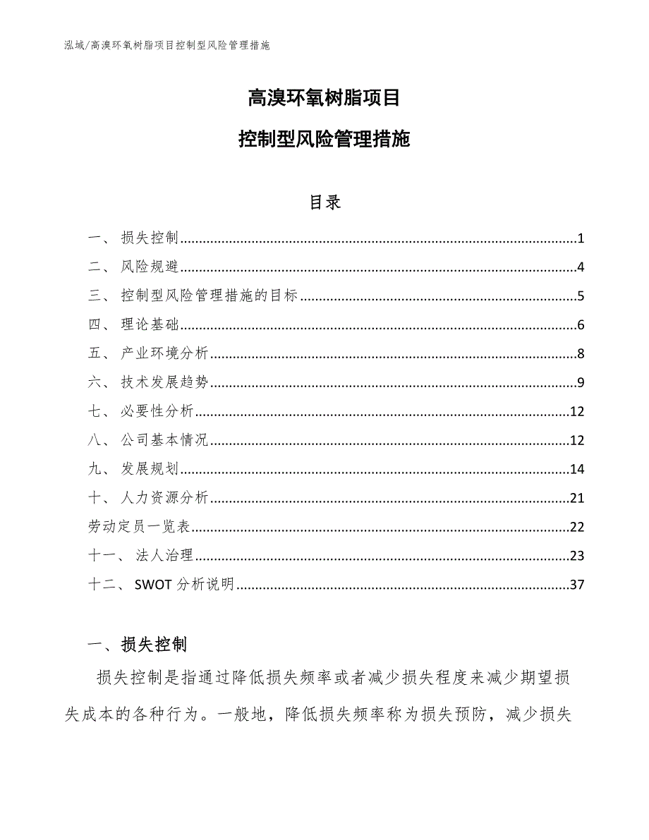 高溴环氧树脂项目控制型风险管理措施【参考】_第1页