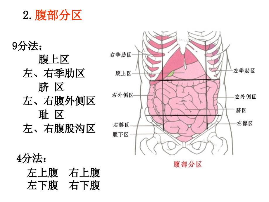 医药代表学术消化系医学基础ppt课件_第4页