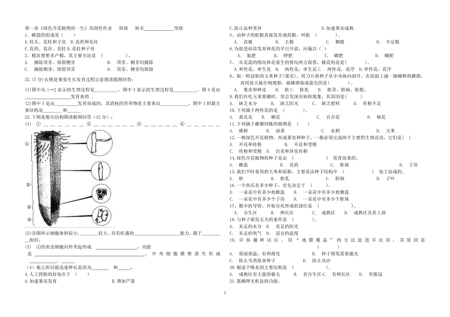 第六节芽的类型和发育到学案及作业.doc_第3页