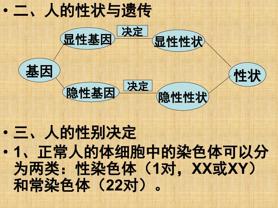 第15章生物的遗传和变异_第3页