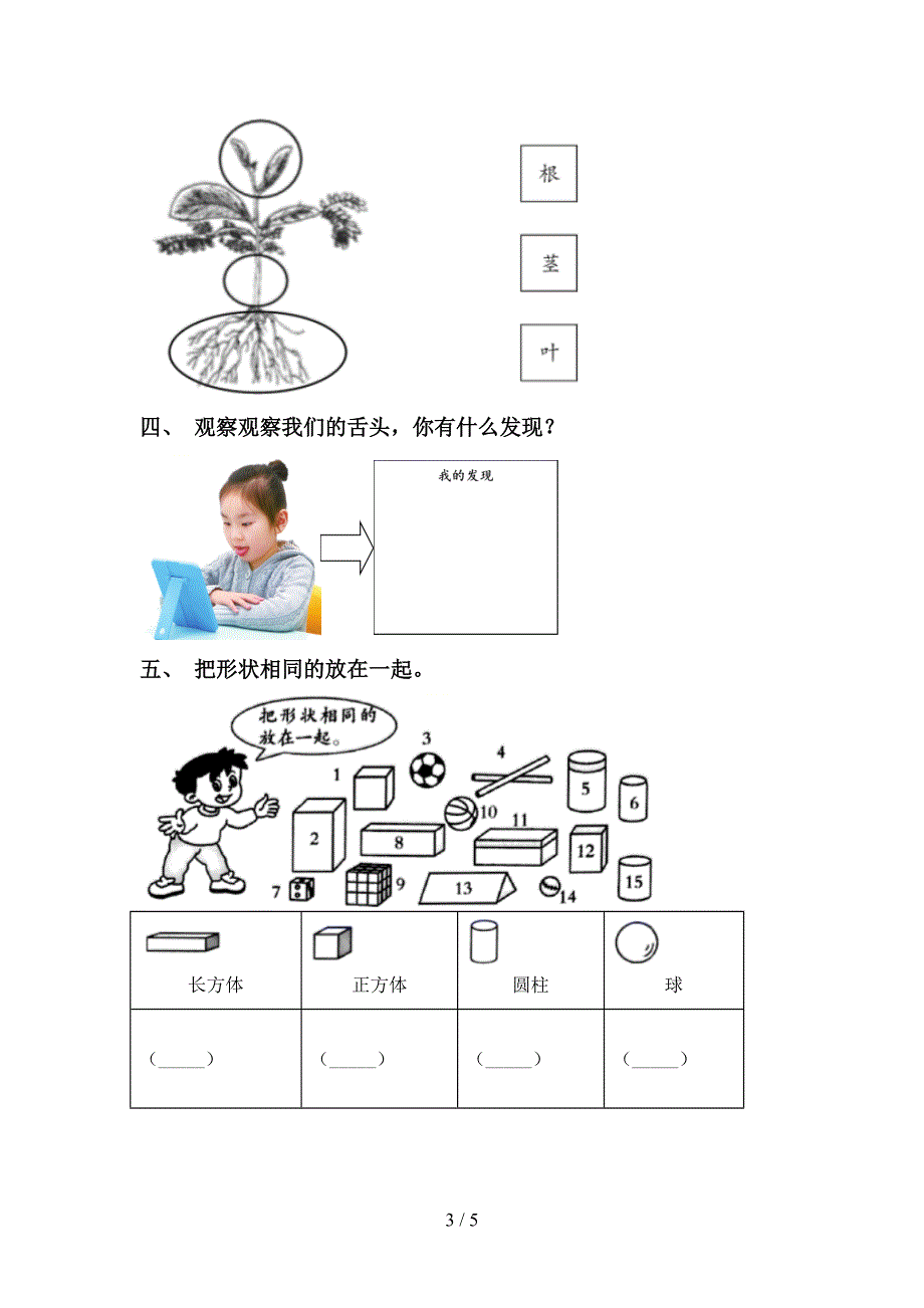 教科版一年级科学上册期中考试及答案【下载】.doc_第3页