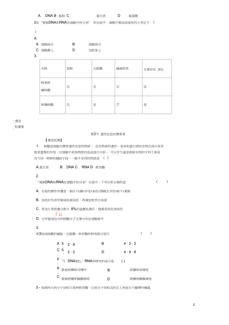 广东省惠阳区高中生物第二章组成细胞的分子2.3遗传信息的携带者核酸学案新人教版必修1_第2页