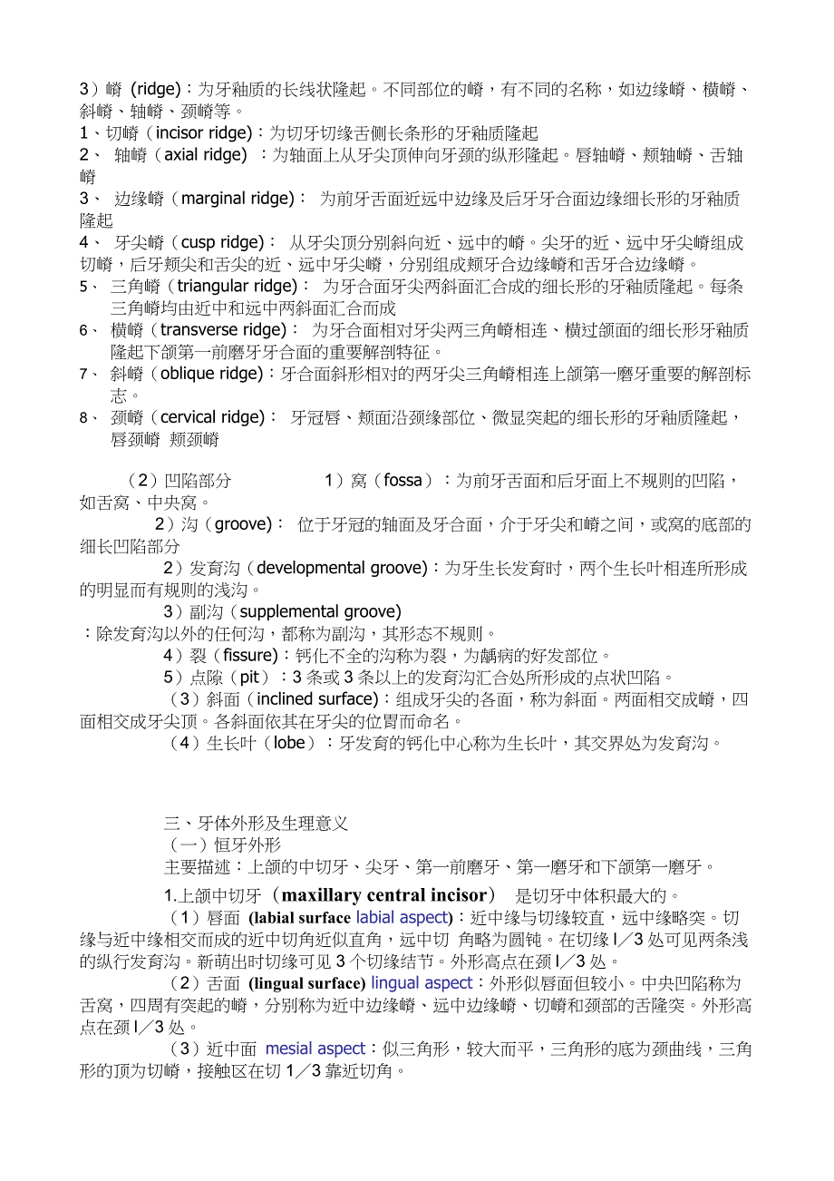 口腔解剖生理学超详细重点.doc_第4页