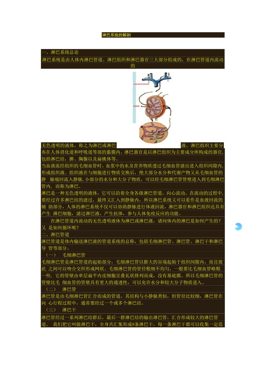 淋巴系统解剖_第1页