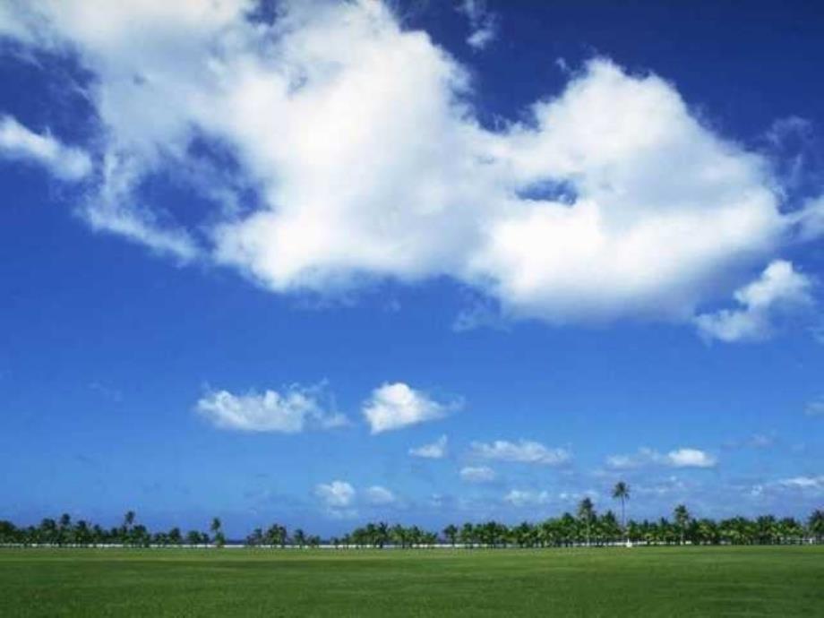 人教版小学语文一年级上册《雨点儿》PPT课件_第3页