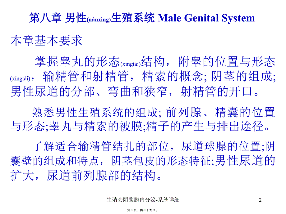 生殖会阴腹膜内分泌系统详细课件_第2页