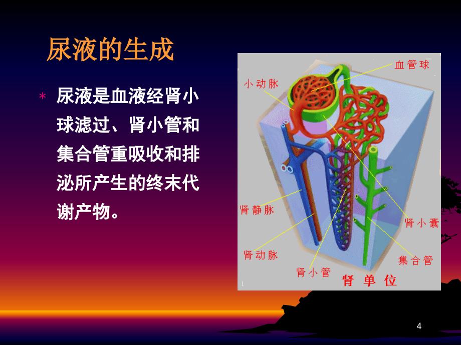 第四章排泄物、分泌物及体液检测(尿液临床)_第4页