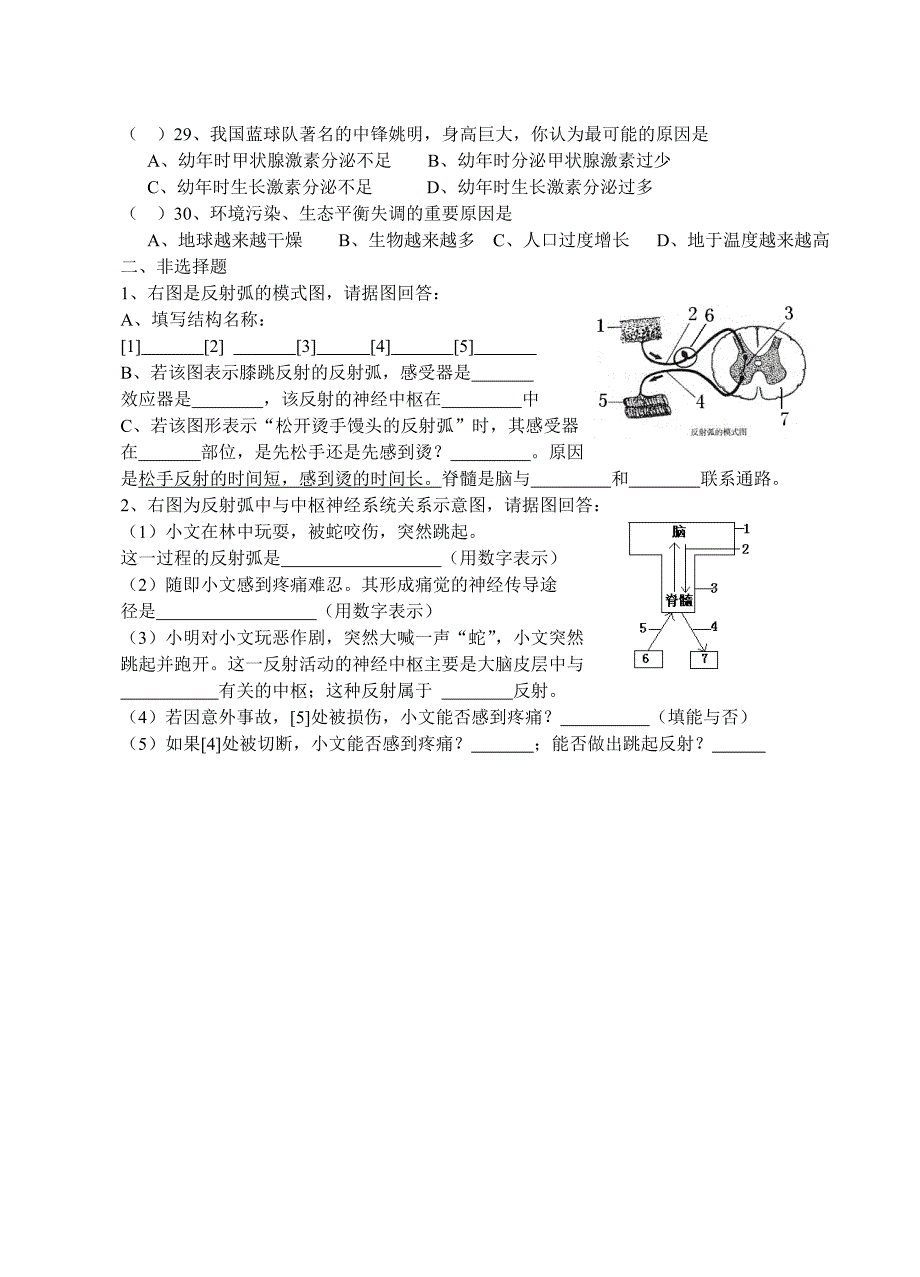 第六章人体生命活动的调节复习提纲_第4页