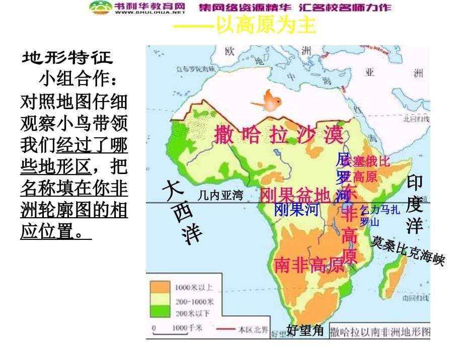 山东省泰安新泰市七年级地理下册第六章认识大洲第二节非洲课件湘教版公开课教案课件_第5页