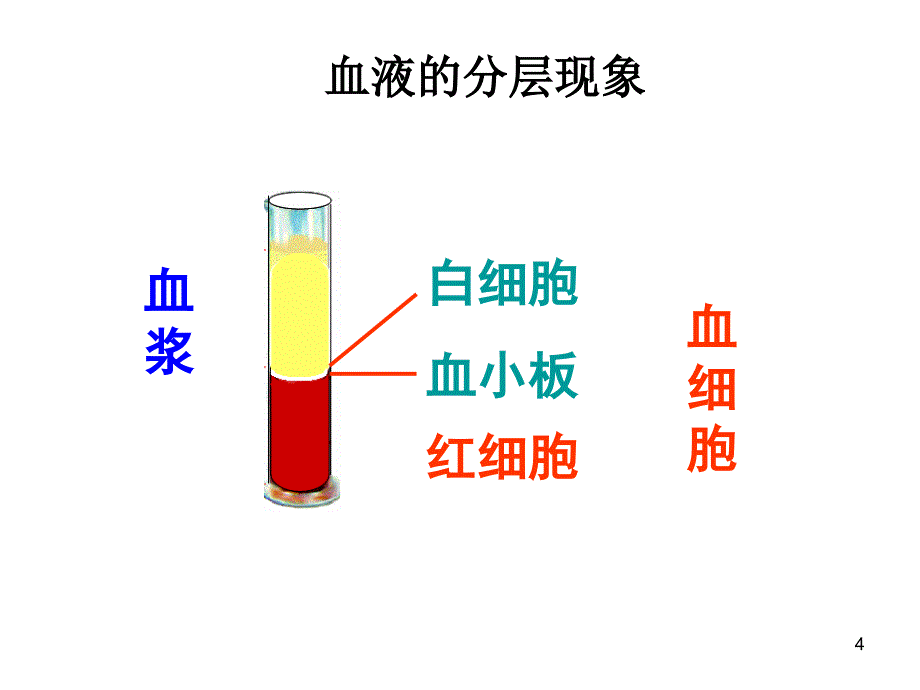 5.14.1.三.血液1_第4页