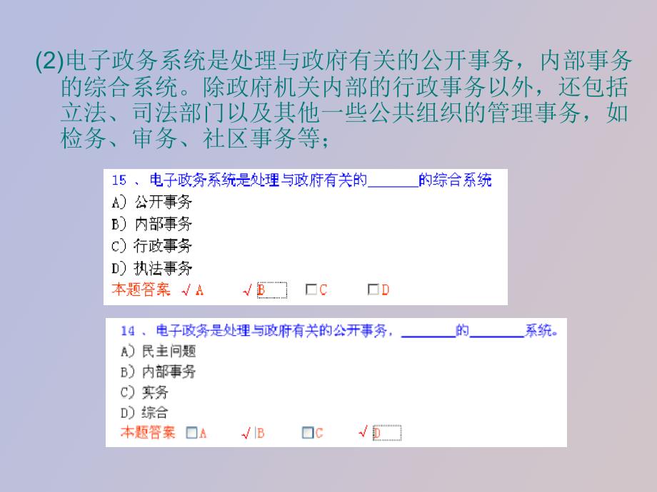 电子政务系统及应用_第3页