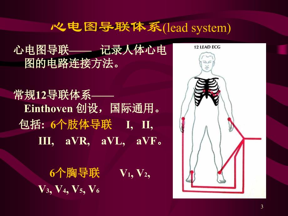 心电图心电向量与心肌缺血_第2页