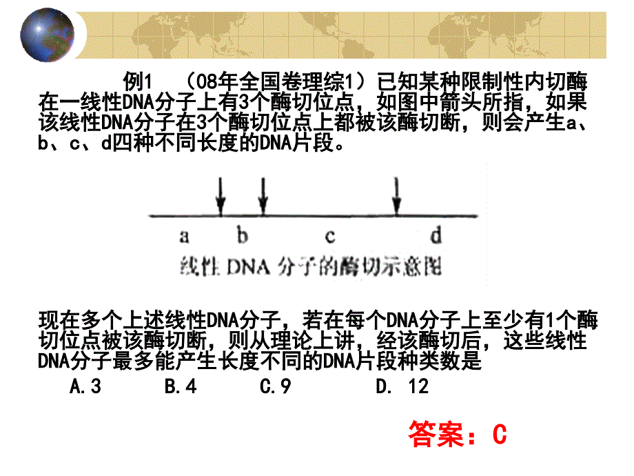 专题基因工程_第4页