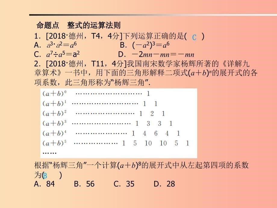 山东省2019年中考数学一轮复习 第一章 数与式 第2讲 整式及其运算课件.ppt_第5页