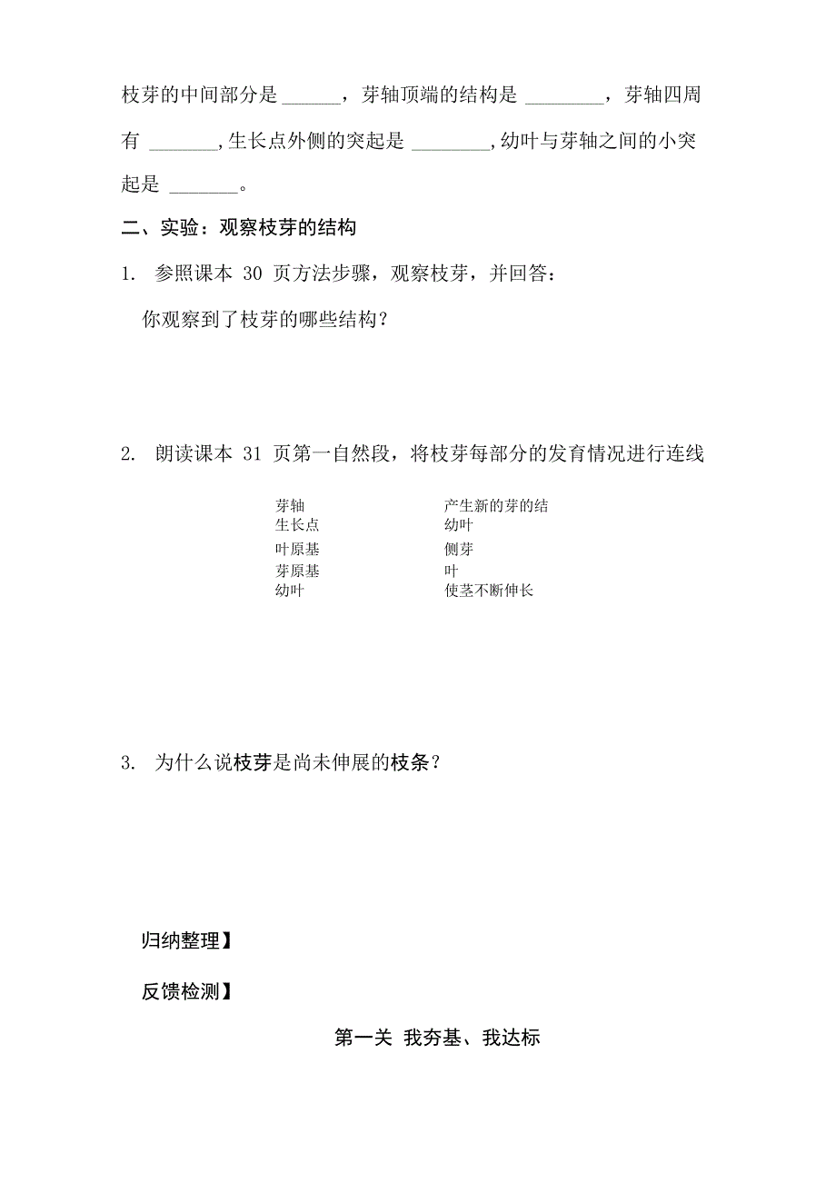 芽的类型和结构1_第2页