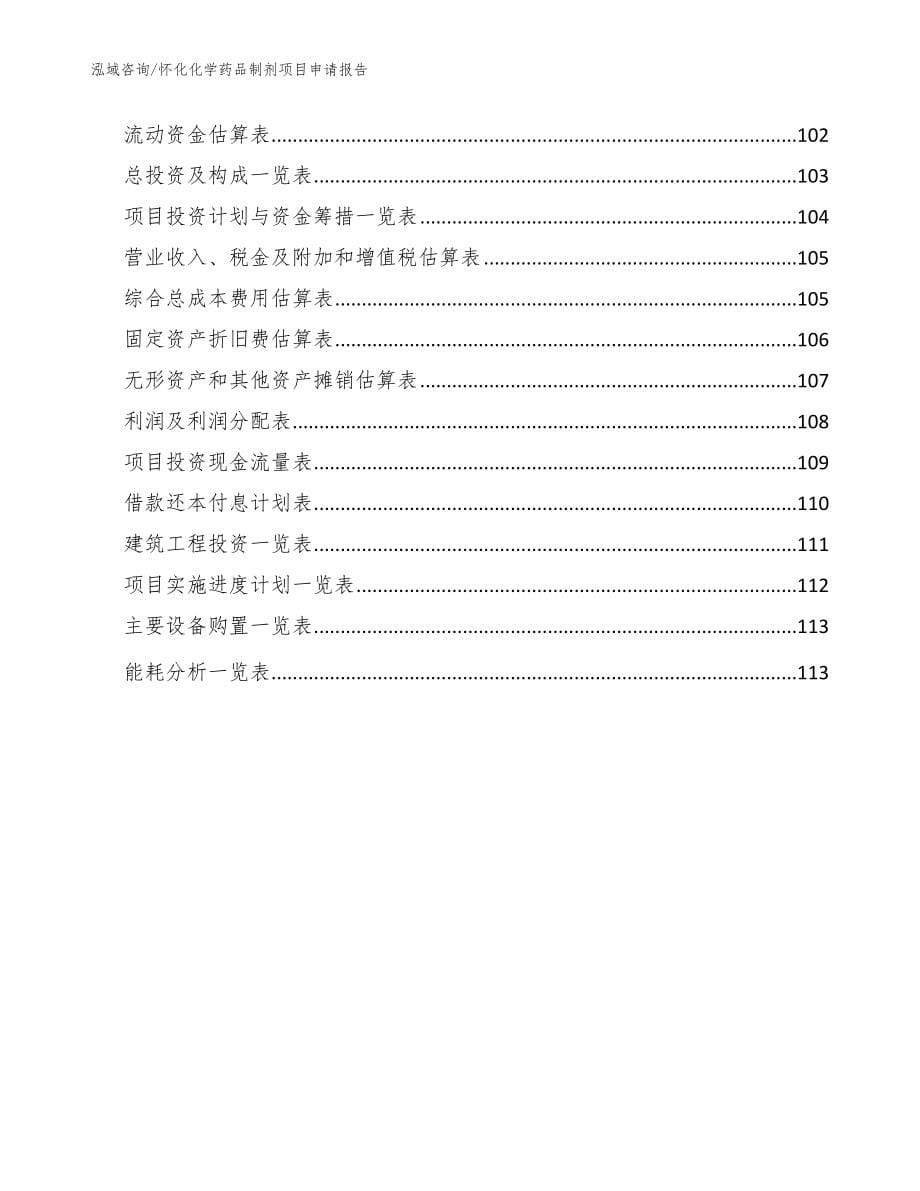 怀化化学药品制剂项目申请报告【模板范文】_第5页