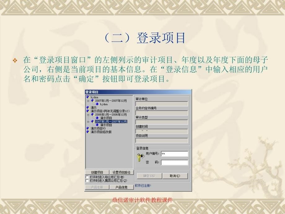 鼎信诺审计软件教程课件_第5页