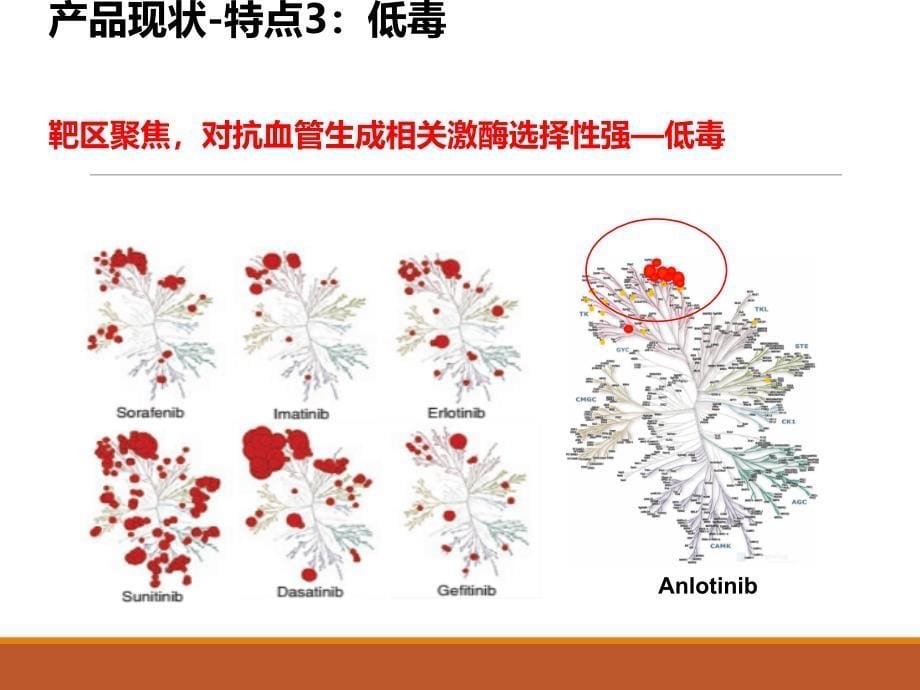 安罗替尼说明书解读_第5页