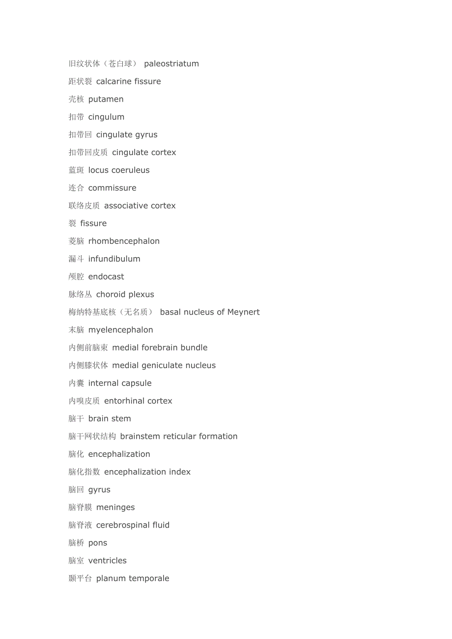 大脑结构名词中英文对照.doc_第3页