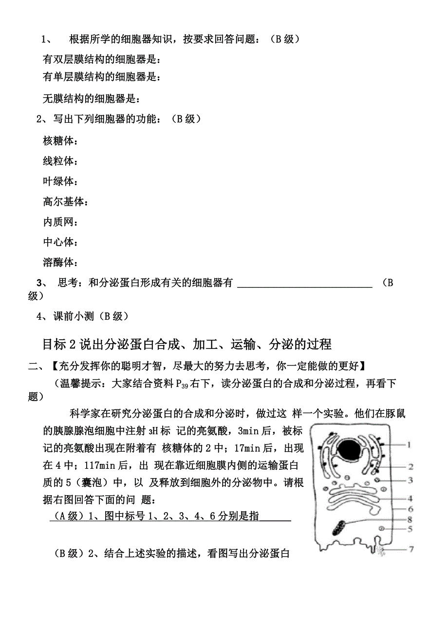 分泌蛋白的合成和运输 学案_第2页