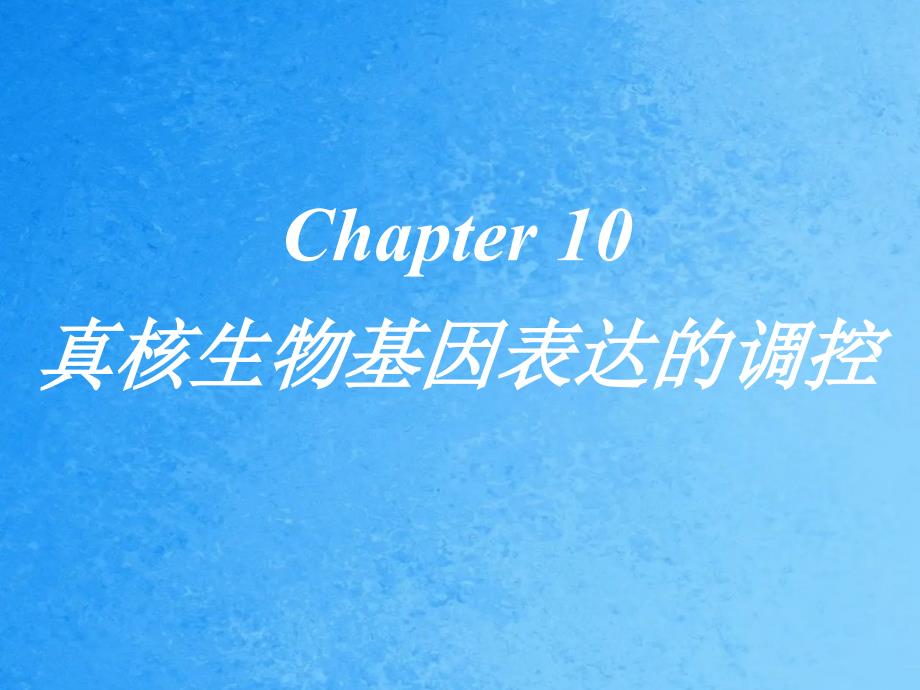 真核生物基因表达的调控ppt课件_第1页