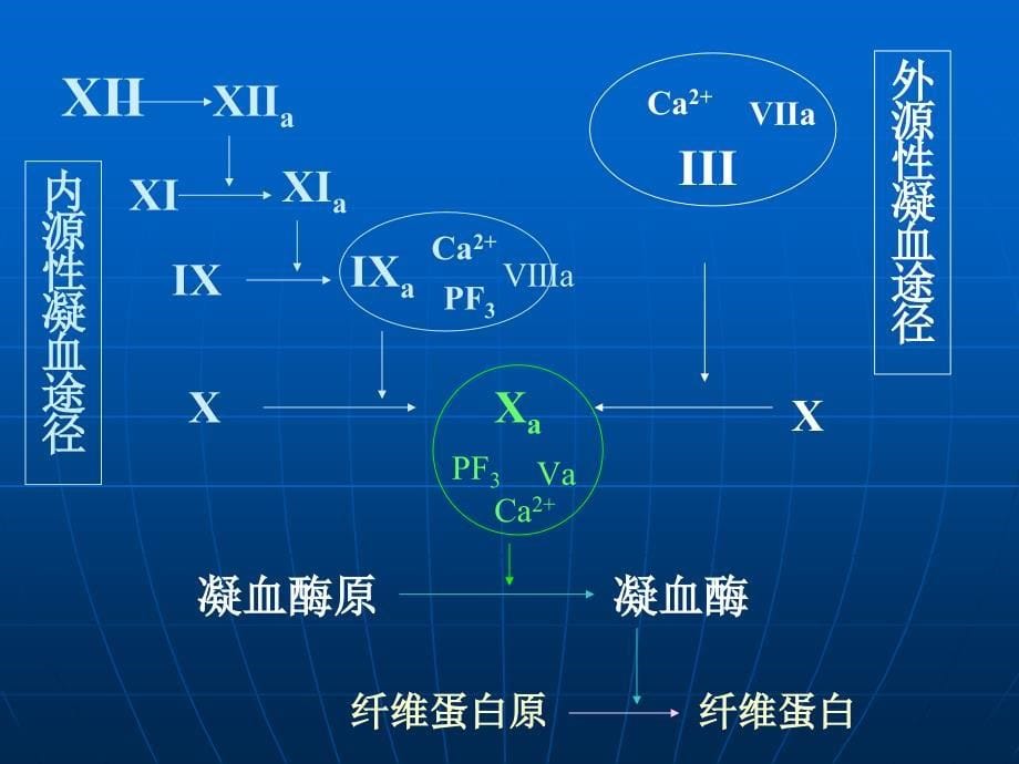 作用及血液及造血系统药_第5页