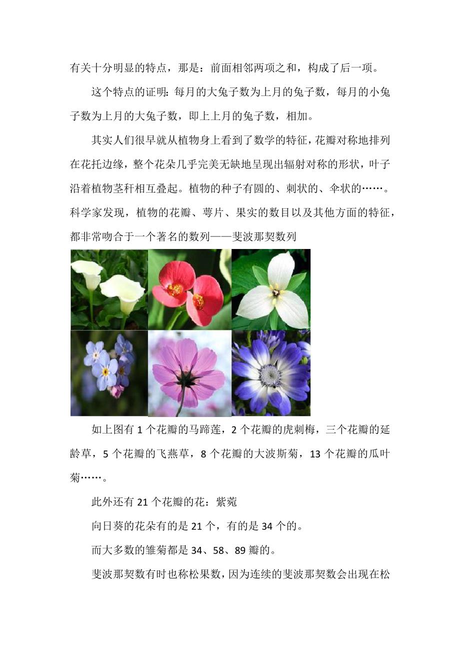 自然界中的斐波那契数列.docx_第2页