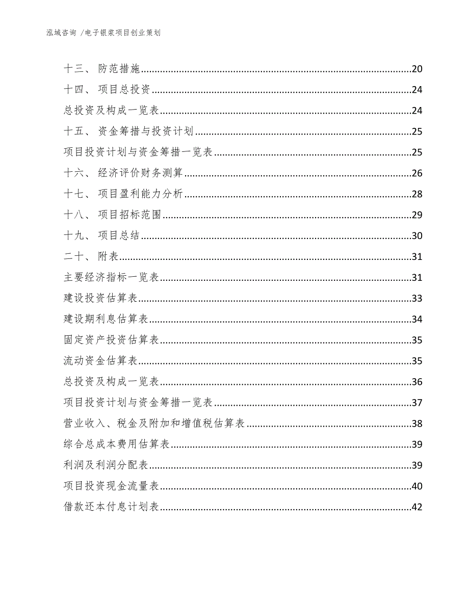 电子银浆项目创业策划_第3页