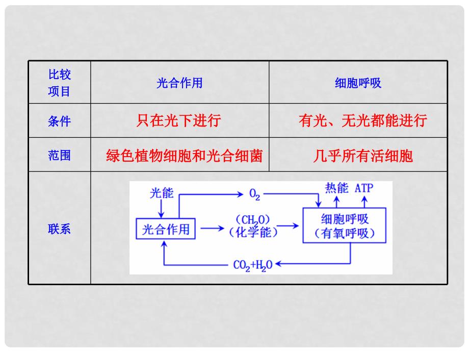 光合作用与细胞呼吸的比较_第2页