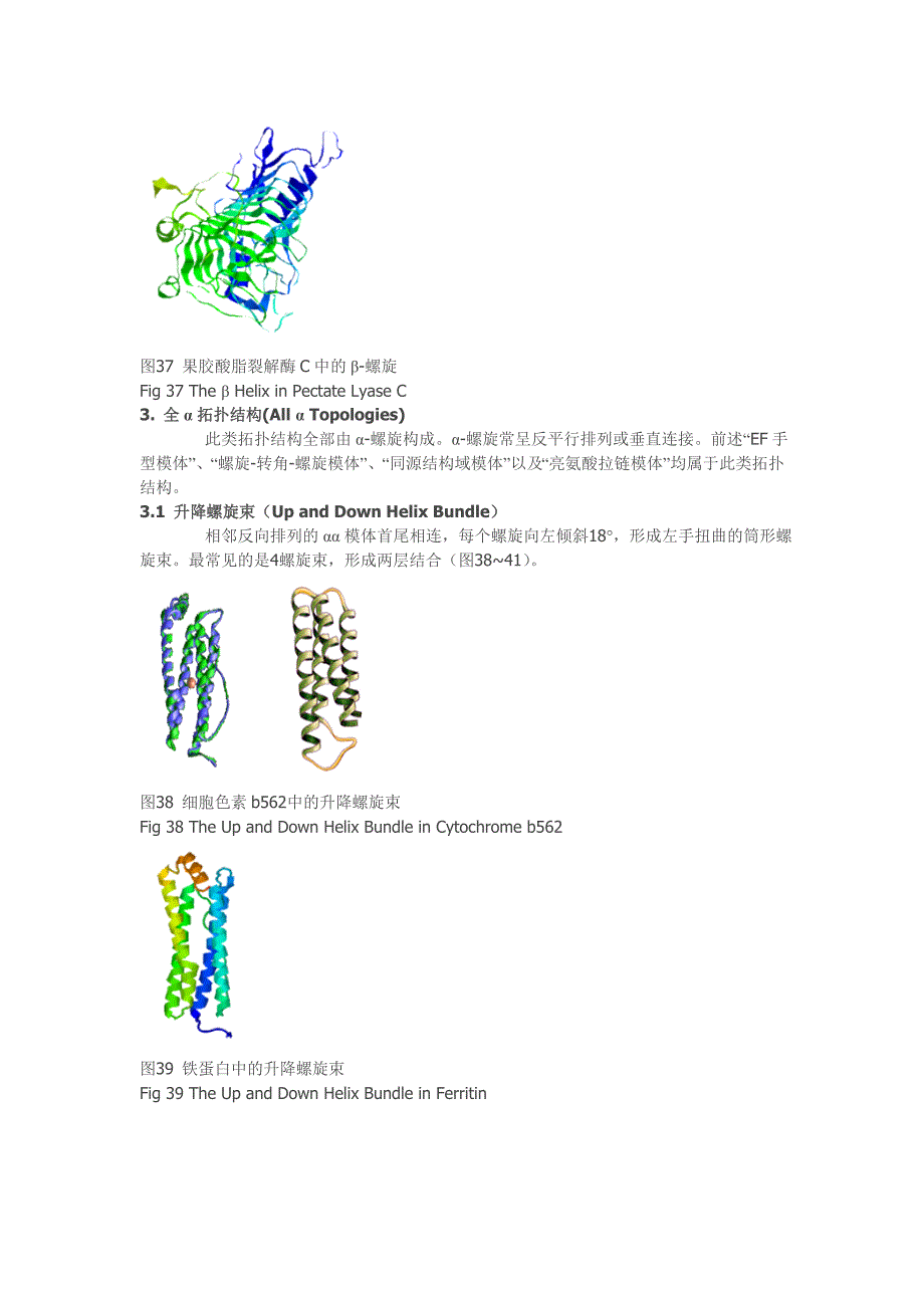蛋白质的结构与功能-图文-好_第2页