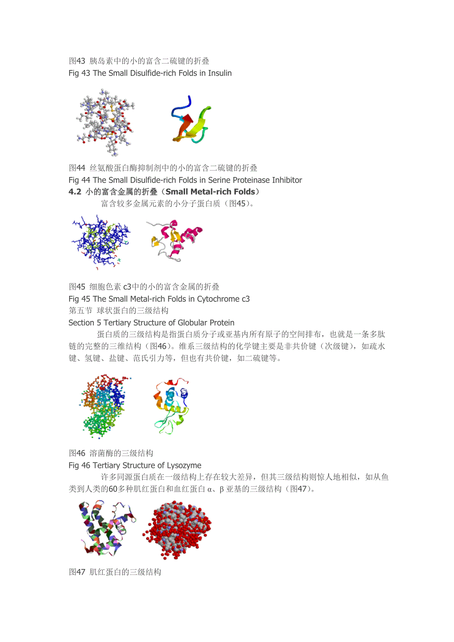 蛋白质的结构与功能-图文-好_第4页