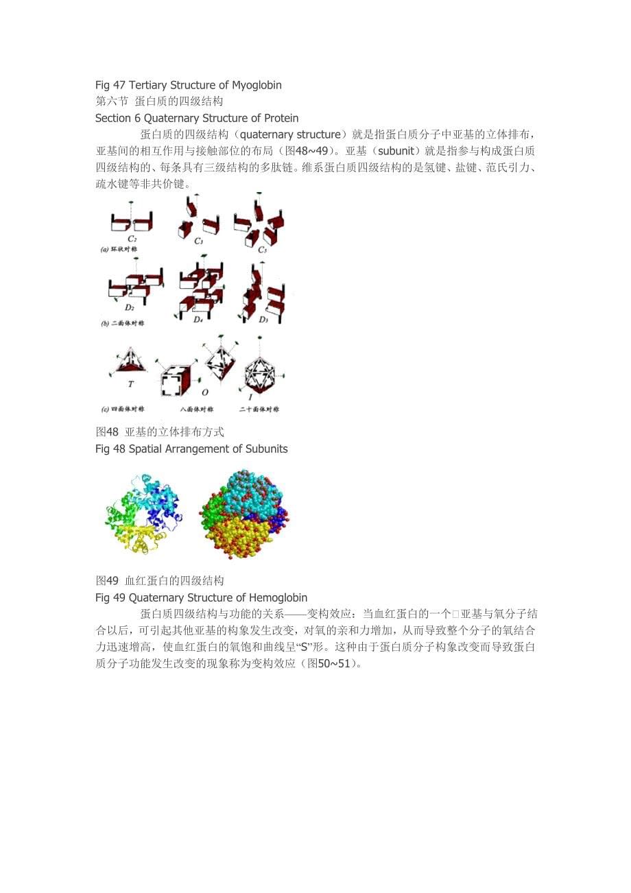 蛋白质的结构与功能-图文-好_第5页