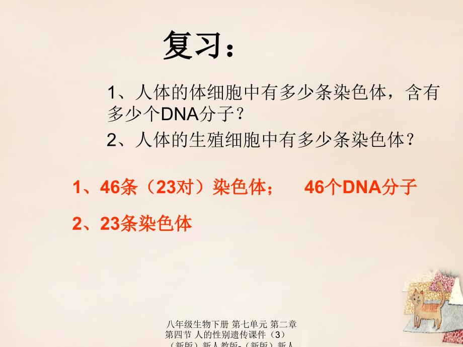 最新八年级生物下册第七单元第二章第四节人的性别遗传3_第2页