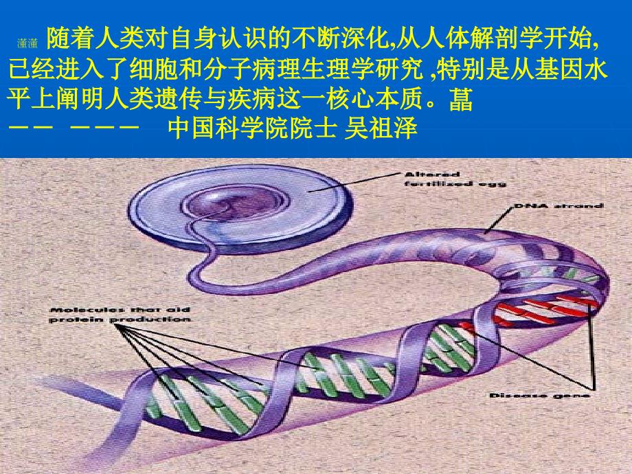 肿瘤基因治疗的新进展_第2页