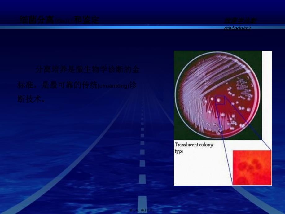 医学专题—细菌的检查方法与防治原则28449_第3页