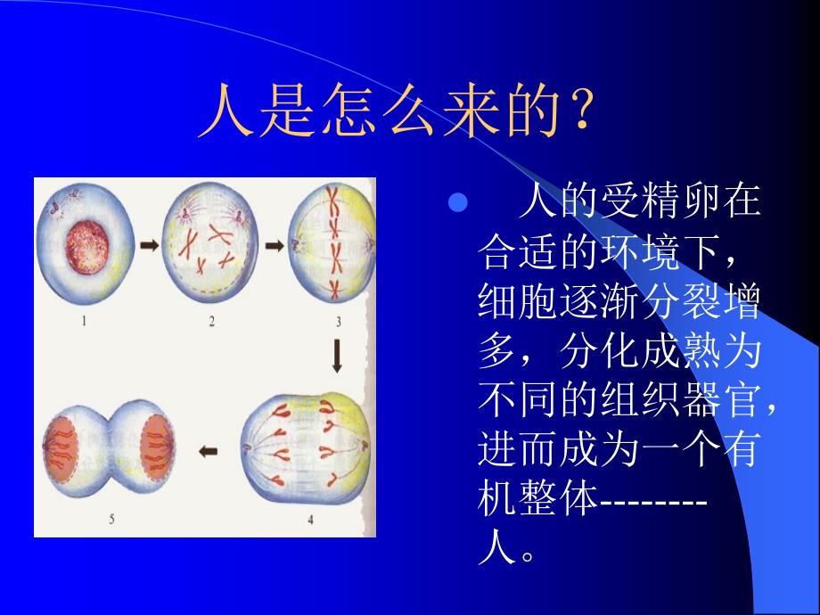 人体结构与功能课件_第2页