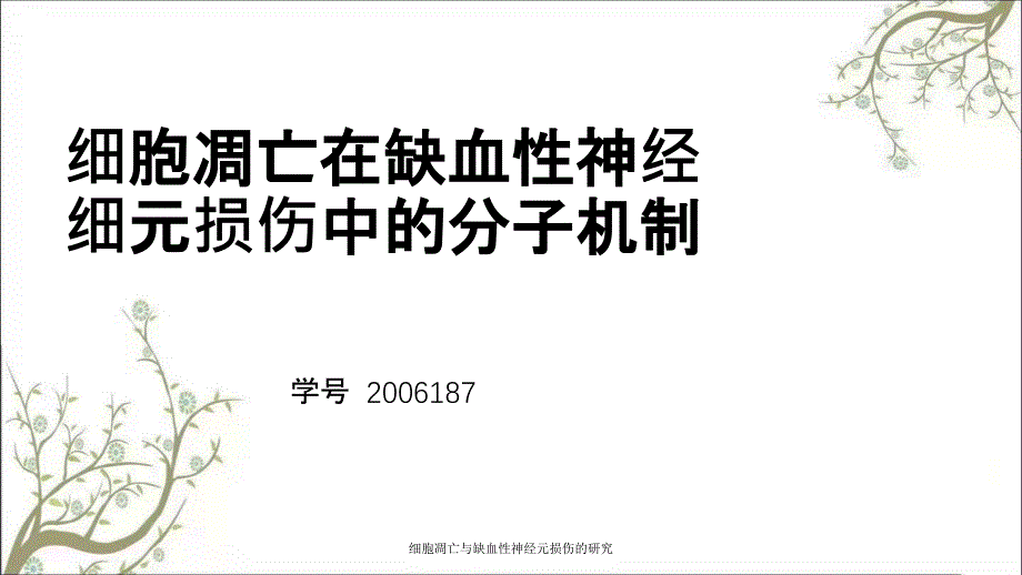 细胞凋亡与缺血性神经元损伤的研究_第1页