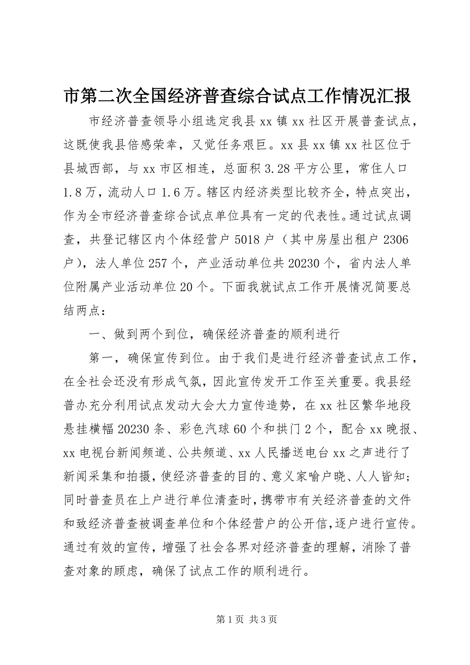 2023年市第二次全国经济普查综合试点工作情况汇报.docx_第1页