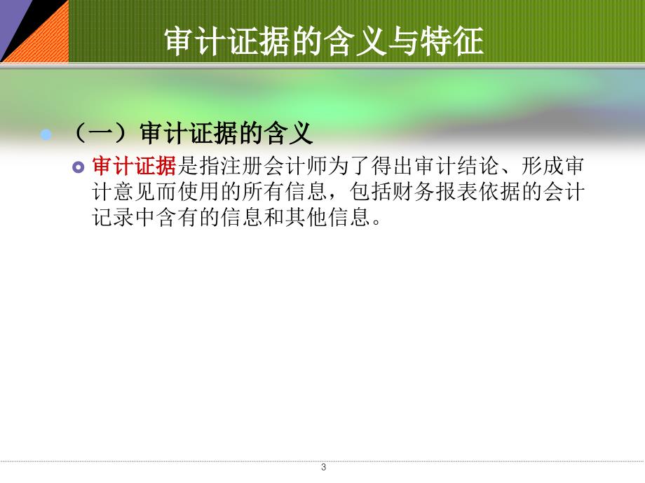 审计证据与审计工作底稿ppt课件_第3页