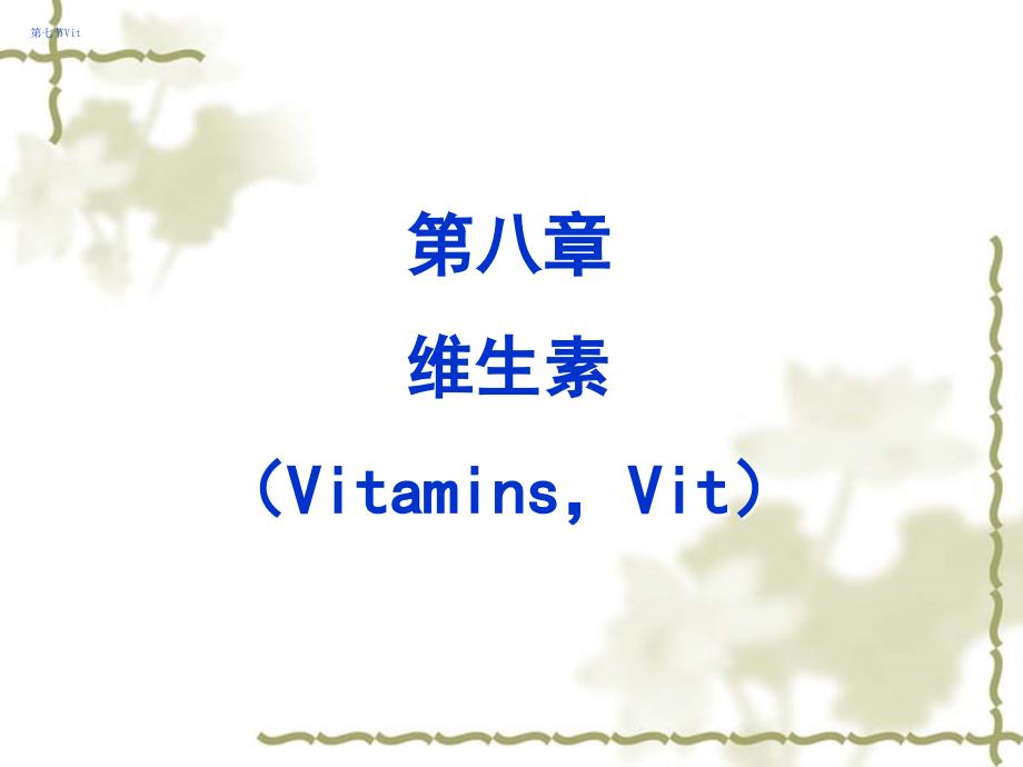 第八章维生素BI_第1页