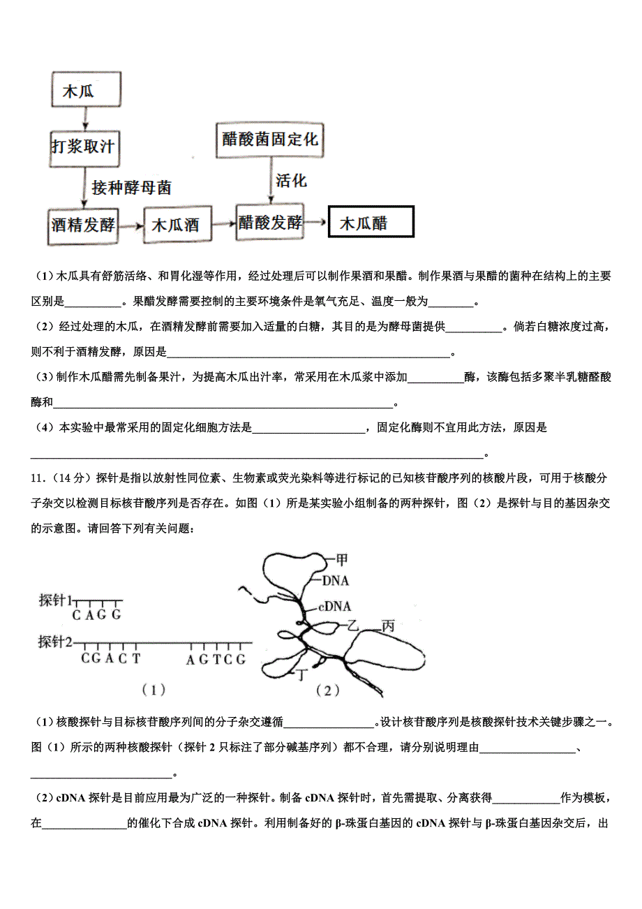 2023年湖南省醴陵市第二中学高三下学期联考生物试题（含答案解析）.doc_第3页