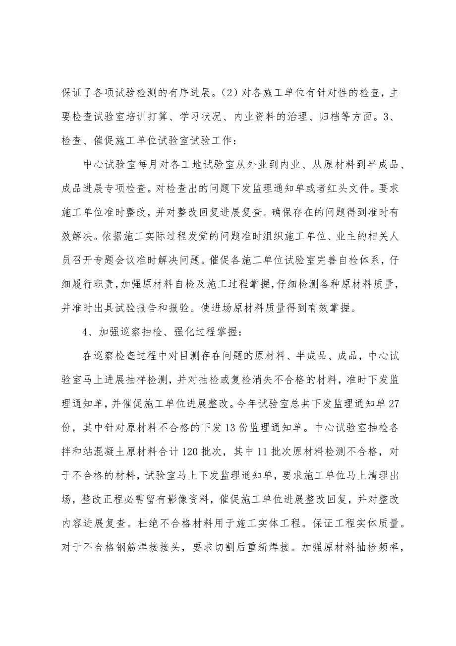 年试验室年终总结.docx_第5页