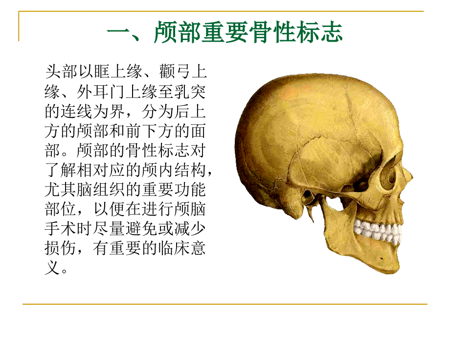 颅脑应用解剖学课件_第2页