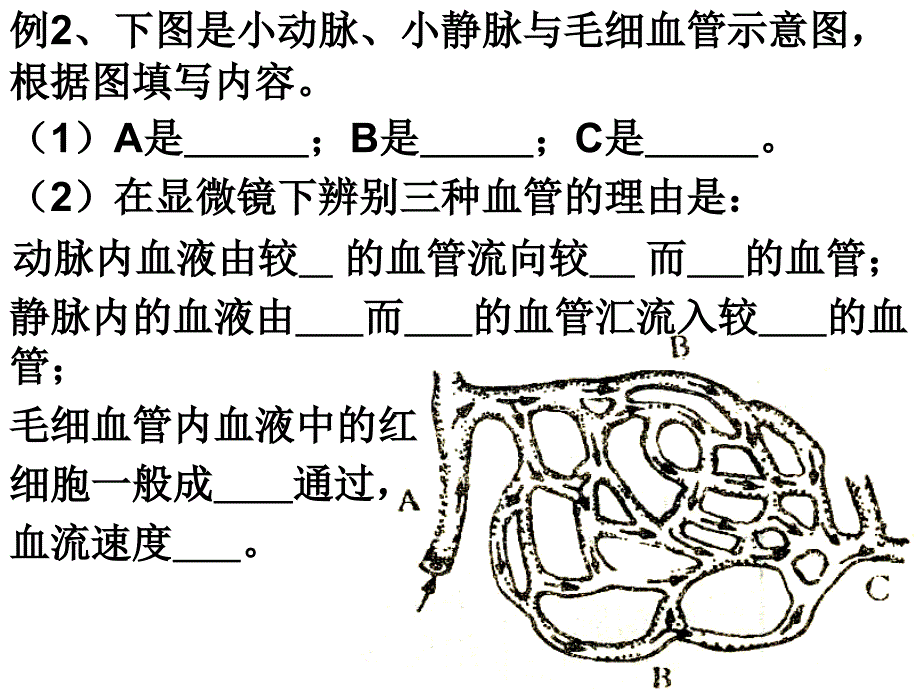 最新九上43体内物质的运输练习ppt课件._第2页