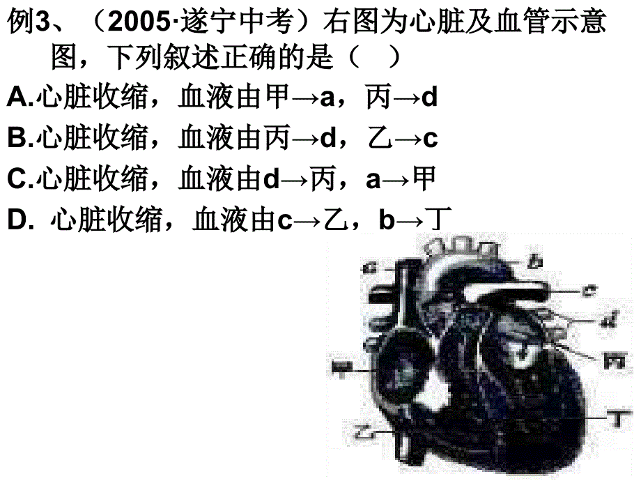 最新九上43体内物质的运输练习ppt课件._第3页